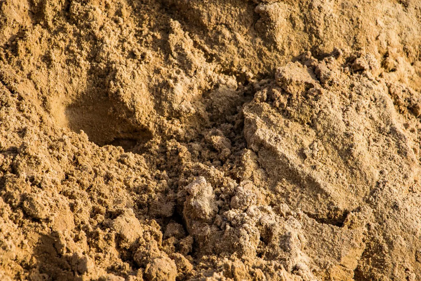 Fill Dirt Service in Trenton, Florida